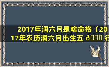 2017年润六月是啥命格（2017年农历润六月出生五 🐕 行 🐺 是什么）